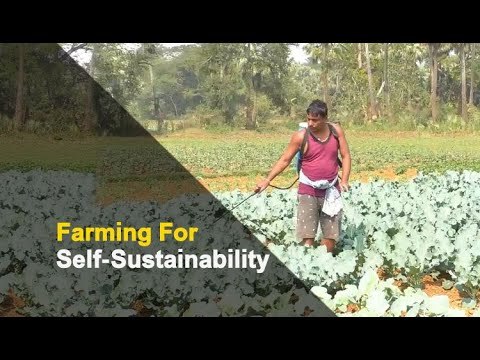 Odisha Sarpanch Has Life Lesson For The Youth | OTV News