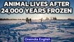 Animal alive after 24,000 years in deep freeze, can humans do the same? | Oneindia News