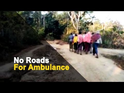 Patient In Odisha Carried On A Cot To Ambulance; Dies In Hospital | OTV News