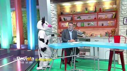 Humor: Safari vino en busca de los animales que se le escaparon, parte 2