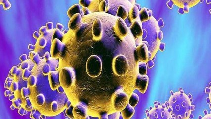 Shocking reveals of American connection on COVID origin