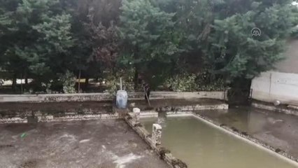 Sağanak nedeniyle zarar gören tarım alanlarında hasar tespiti yapılıyor