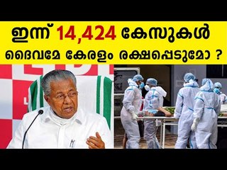 14,424 New Covid Positive Cases In Kerala Today