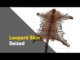 Télécharger la video: Odisha Crime Branch STF Seizes Leopard Skin, 2 Arrested | OTV News