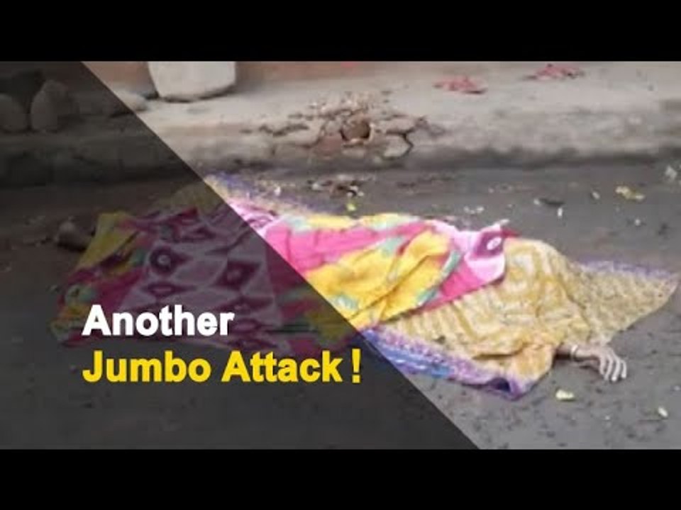 Elderly Woman Killed In Elephant Attack In Odisha | OTV News