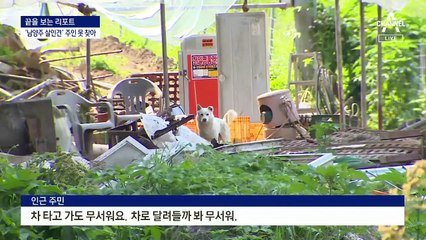 [끝보리]‘살인견’ 견주 못 찾아…사람 죽어도 보상 길 없어