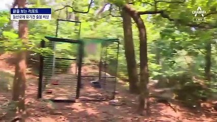 [끝보리]유기견 한 해 10만 마리 포획…보호소는 280곳뿐