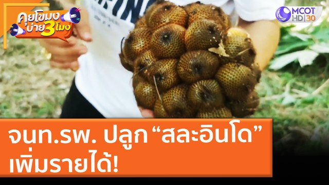 จนท. รพ. ปลูก “สละอินโด” เพิ่มรายได้! (10 มิ.ย. 64) คุยโขมงบ่าย 3 โมง