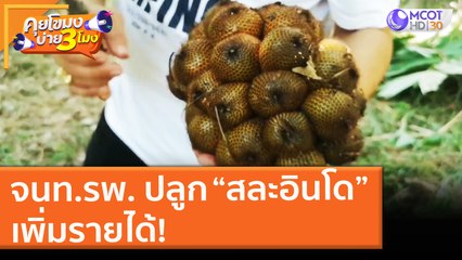 จนท. รพ. ปลูก “สละอินโด” เพิ่มรายได้! (10 มิ.ย. 64) คุยโขมงบ่าย 3 โมง