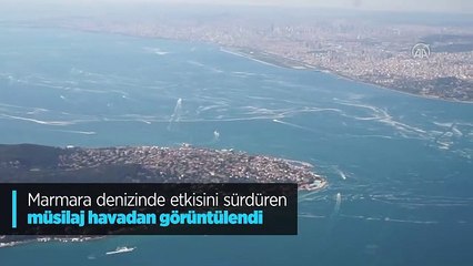 Deniz salyası havadan görüntülendi.