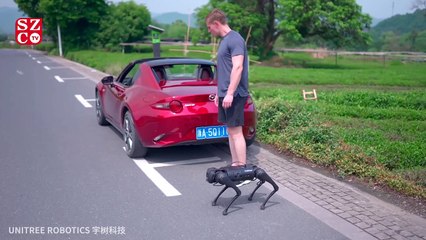 Boston Dynamics'in robot köpeğine rakip çıktı: Go1