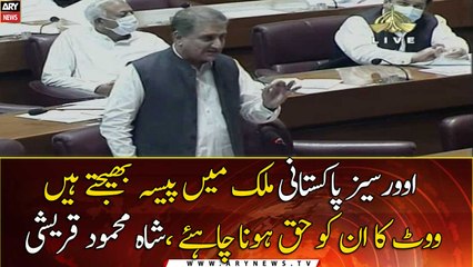 Overseas Pakistanis must have the right to vote: FM Qureshi