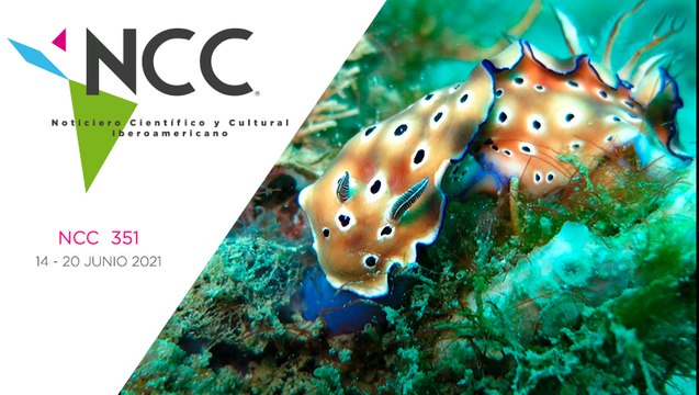 Noticiero Científico y Cultural Iberoamericano, emisión 351. 14 al 20 de junio del 2021