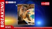 Millions mourn beloved TikTok monkey who died after visit to dentist