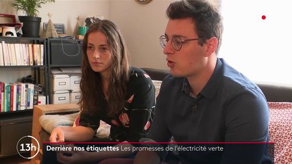 Énergie : que vaut vraiment l'électricité verte ?