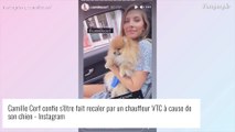 Camille Cerf recalée par un chauffeur Uber : nouvelle galère pour la Miss