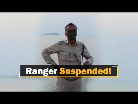 Elephant Deaths: Odisha Govt Suspends Sambalpur Forest Ranger | OTV News