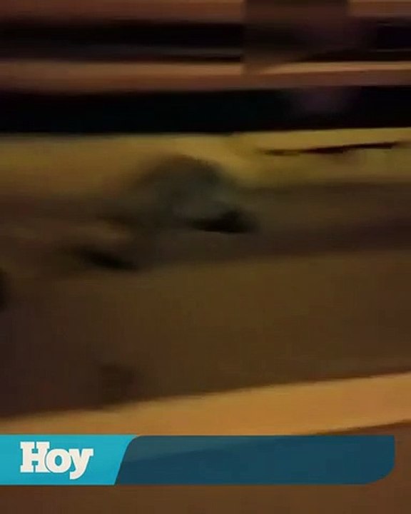 Accidente de tránsito en Autovía del Este deja tres muertos y tres heridos