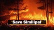 Not Just Similipal, Hundreds Of Forest Fires Are Raging In Odisha | OTV News