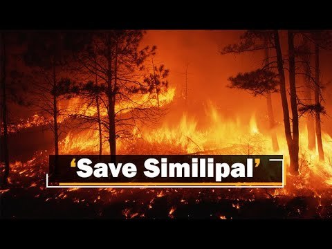 Not Just Similipal, Hundreds Of Forest Fires Are Raging In Odisha | OTV News