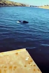 Explicación de lo que son los impuestos en 20 segundos