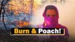 Poacher Arrested In Odisha For Burning Forest | OTV News