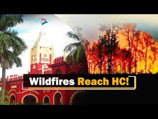 Similipal Wildfire: PIL Filed In Orissa High Court Seeking Immediate Measures | OTV News