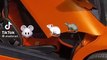 Les souris aussi adorent les Lamborghini Gallardo