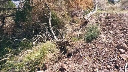 Çukur dizisinin oyuncuları Karaburun'da SİT alanına inşaat yapmak istedi, belediye suç duyurusunda bulundu