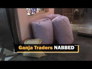 Odisha STF Seizes Ganja Worth Lakhs, Two Arrested | OTV News
