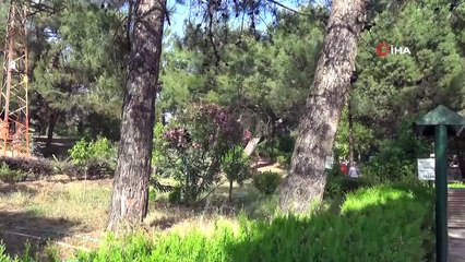 Botanik Bahçe 300 bitkiye ev sahipliği yapıyor