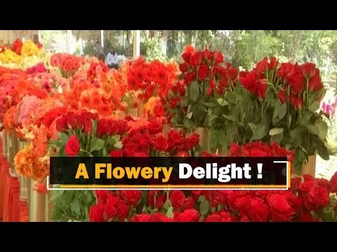Flower Fest Vasantotsav Resumes After A Year At Raj Bhawan In Dehradun | OTV News