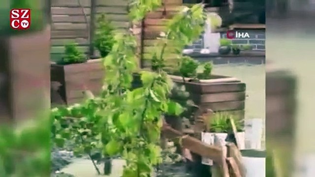 Yağmur sonrası göl ve dere taştı, restoran sular altında kaldı