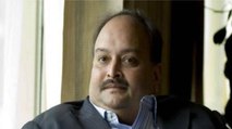 Mehul Choksi will be back in India soon, Watch vardat