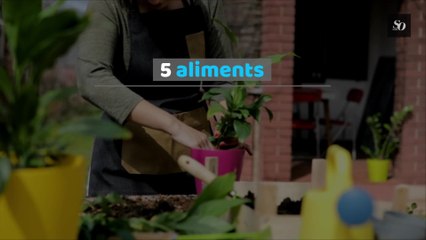 5 aliments que vous pouvez faire pousser dans un jardin
