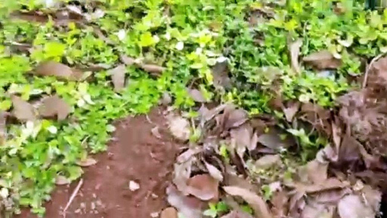 PRF flagra caminhoneiro com "rebite" em abordagem na BR-277, em Cascavel