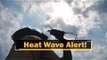#HeatWave In Odisha: IMD Issued Orange Warning For 21 Districts | OTV News