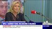 Emmanuel Macron giflé: Marine Le Pen pense que le profil de Damien Tarel est une "bouillie idéologique"
