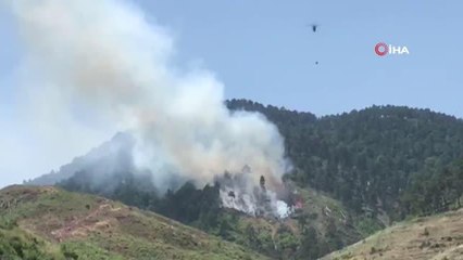 Sındırgı'daki orman yangını büyümeden söndürüldü