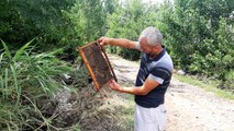 Son dakika haberleri | 400 kovan arısı sele kapıldı, zararı 1 milyon lira