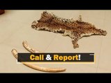 Odisha Police Crime Branch Issues Helpline Number To Curb Wildlife Crime | OTV News