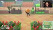 Making Bamboo And Fortune Telling Stalls! - Animal Crossing: New Horizons