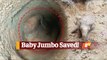 WATCH | Baby Elephant Rescued From Abandoned Well In Odisha | OTV News