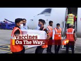 2.71 Lakh Doses Of #COVID19 Vaccines To Reach Odisha Today | Health Director Bijay Panigrahi