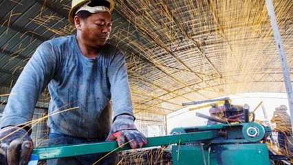 Steps government can take to revive the Indian economy