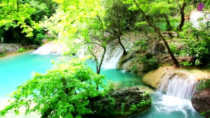 logo-15-min-beach-flowers-20210525-004039