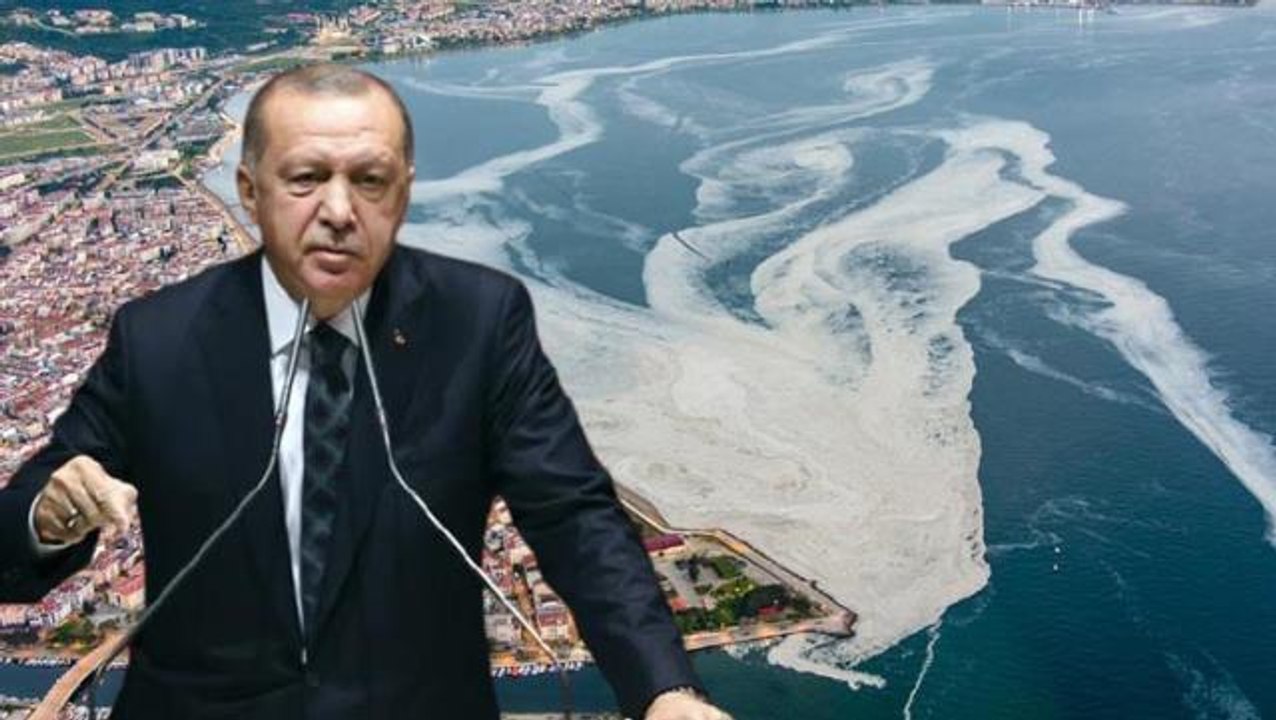 Cumhurbaşkanı Erdoğan'dan akademisyenlerle müsilaj toplantısı! Sonuç bildirgesinde dikkat çeken tavsiyeler