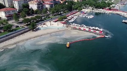 TEKİRDAĞ - Rüzgarla yeniden kıyıda biriken müsilajı temizleme çalışmaları devam ediyor