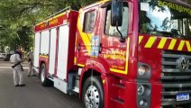 Bombeiros são mobilizados para resgatarem gata que subiu em árvore na Rua Presidente Bernardes, no Centro