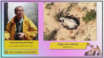 ช้างมากกว่า 350 ตัว ในบอตสวานา ล้มตายปริศนา : FM91 คลินิกสัตว์เลี้ยง : 5 กรกฎาคม 2563
